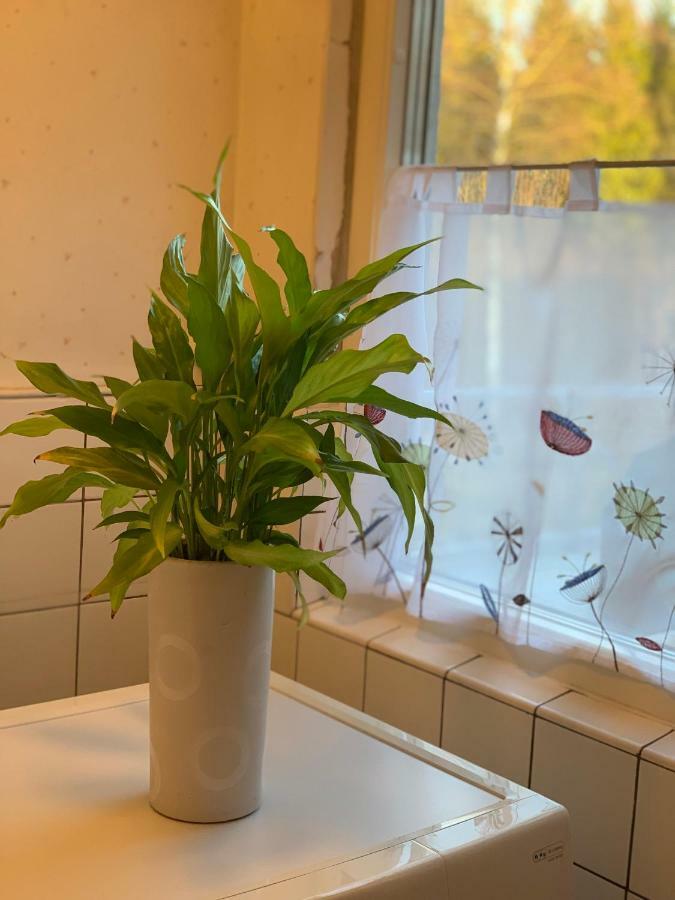 Cozy House In Kosta Center Surrounding With Swedish Nature المظهر الخارجي الصورة