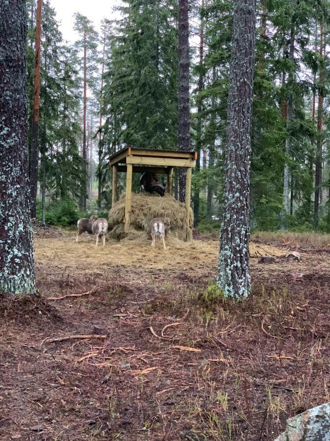 Cozy House In Kosta Center Surrounding With Swedish Nature المظهر الخارجي الصورة